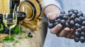 NEW OPPORTUNITIES AT WORLDFOOD UKRAINE 2019